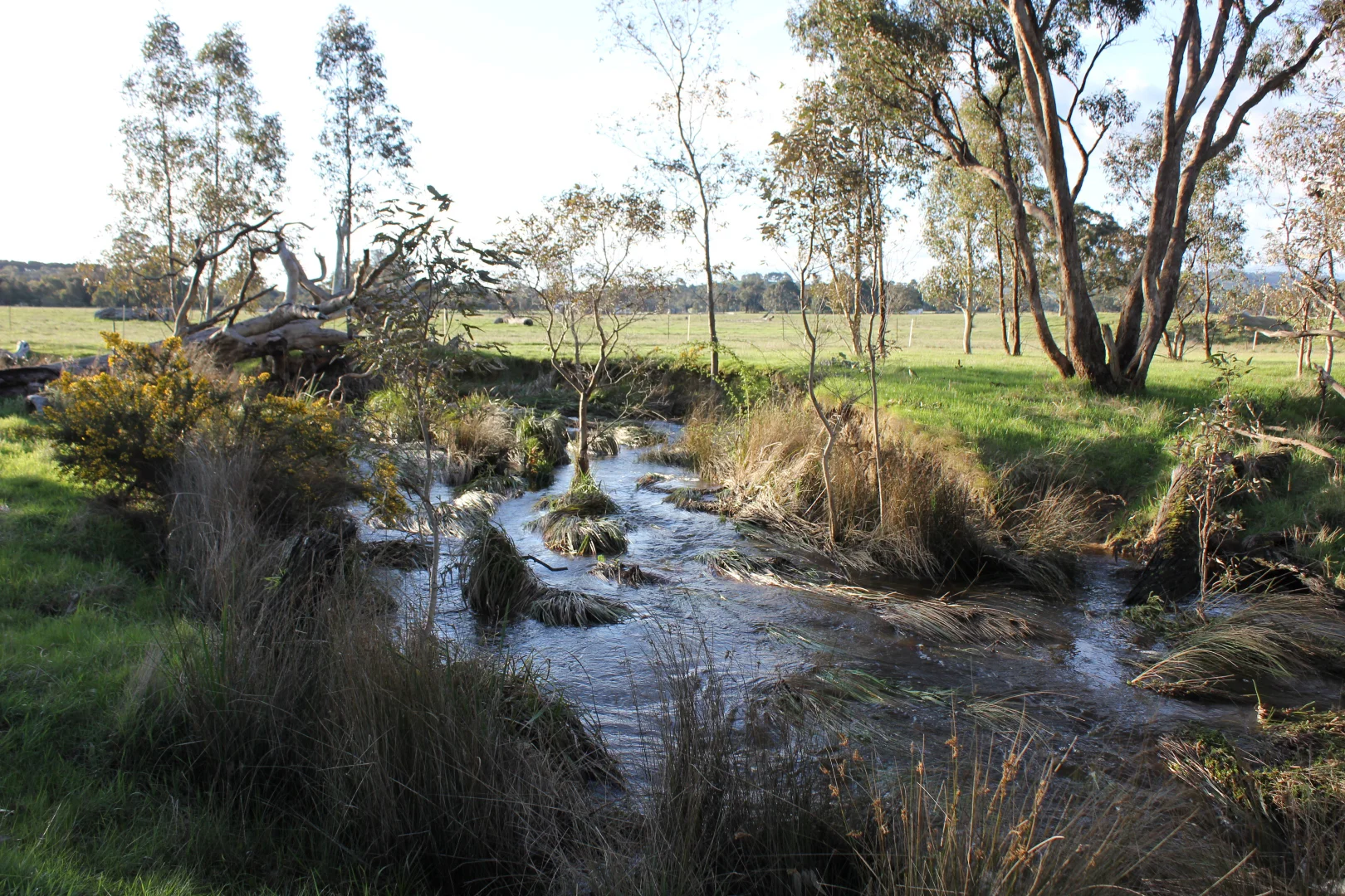 Additional image 2 of Lot 46 & 47 Pollards Road, Elphinstone VIC 3448
