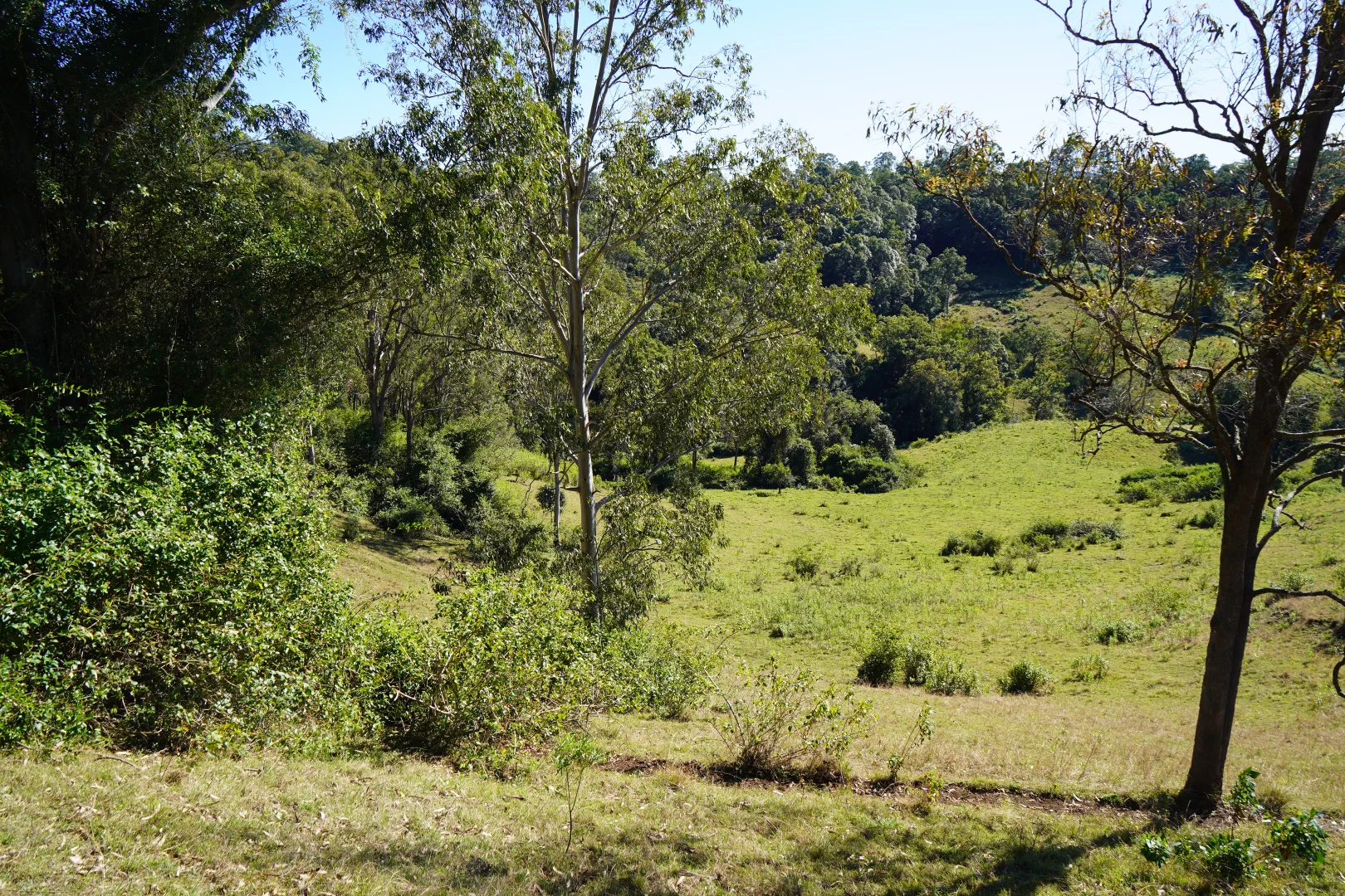Additional image 19 of 2425 Pine Creek Rd, Lismore NSW 2480