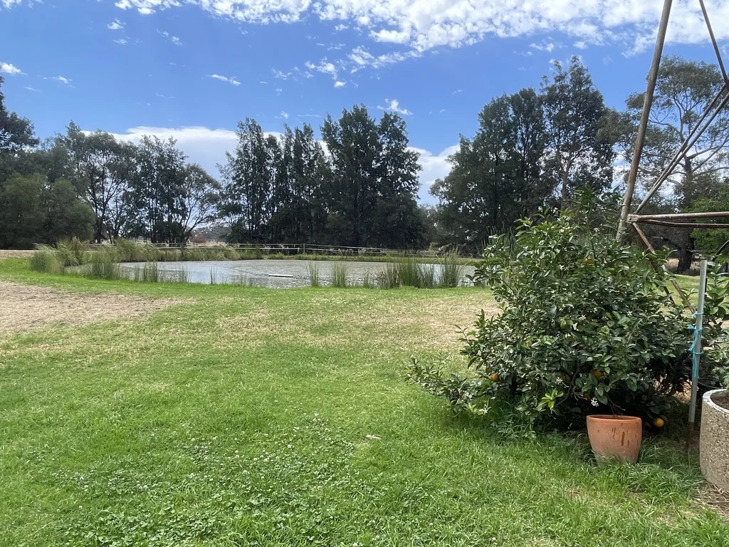 Additional image 27 of 'Kalawar' 1822 Pretty Pine Road, Morago NSW 2710