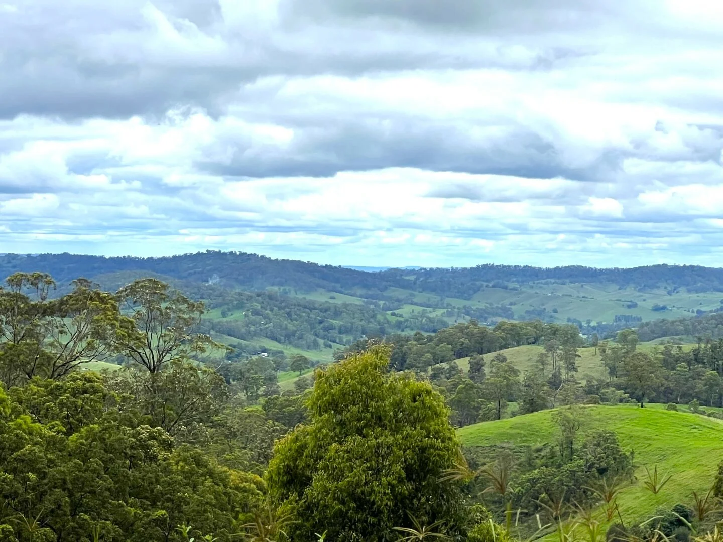 Additional image 27 of 59 Wyndham Road, Wyneden NSW 2474