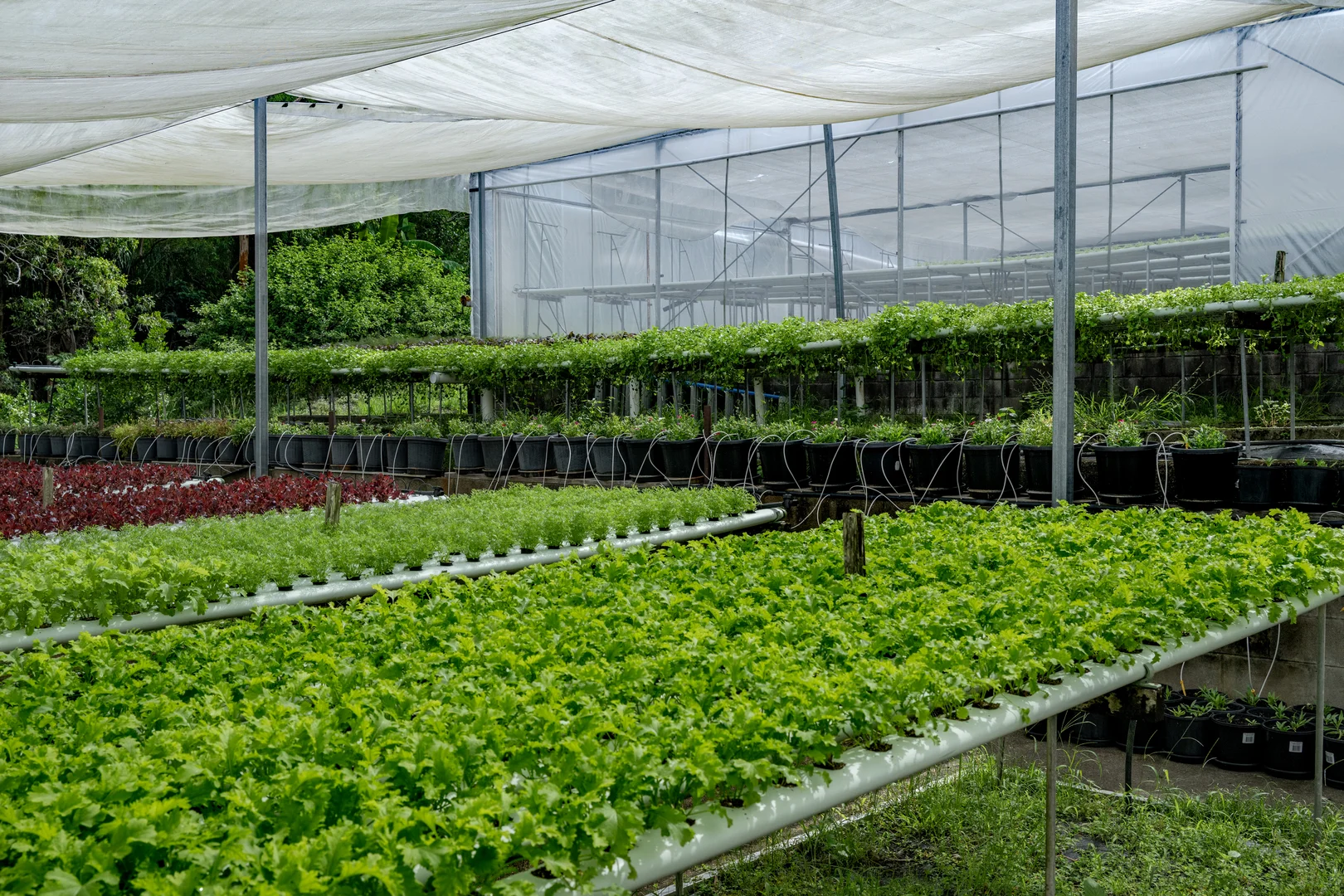 Additional image 36 of 44 Glen Nathan Court, Mount Nathan QLD 4211