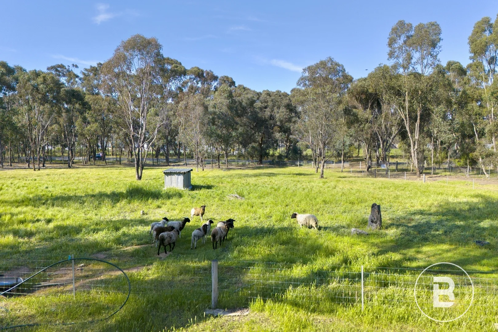 Additional image 4 of 363 Tullaroop Road, Maryborough VIC 3465