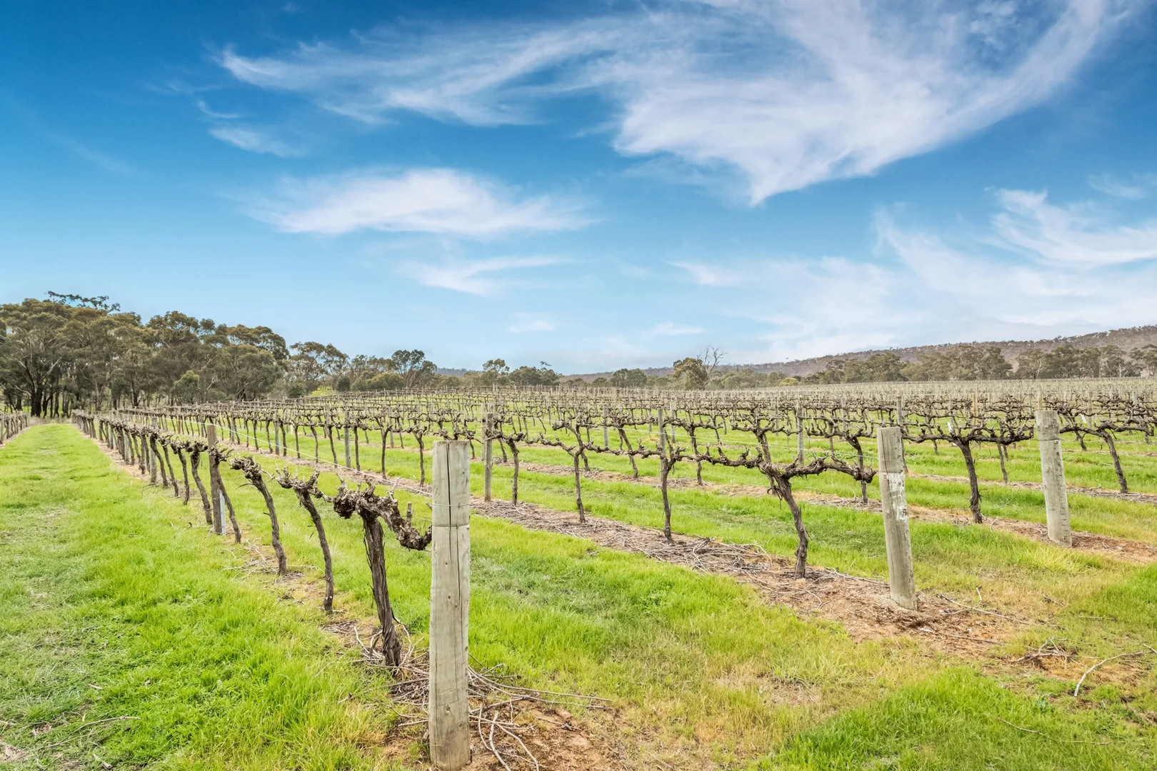 Additional image 4 of 695 Northern Highway, Heathcote VIC 3523