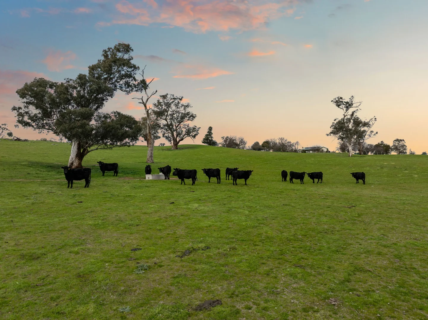 Additional image 14 of "Garratt" 597 Garratt Road, Jugiong NSW 2726