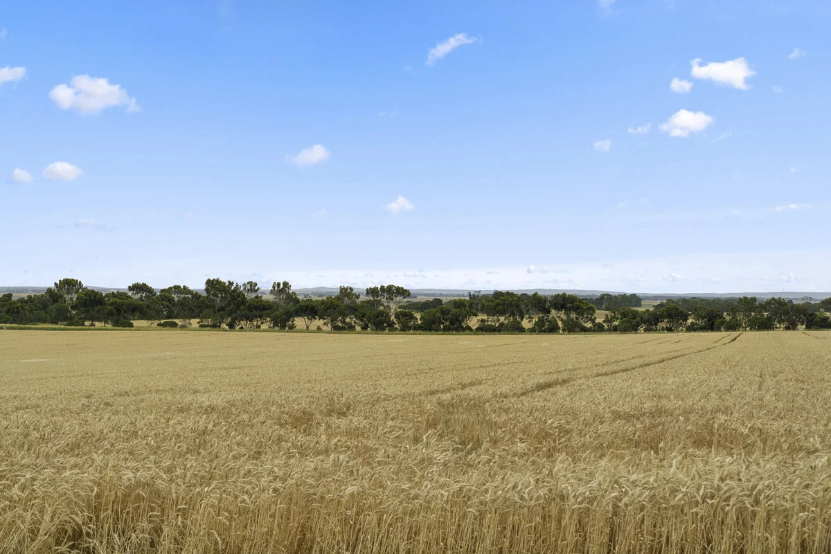 Additional image 8 of 2310 Colac-Ballarat Road, Weering VIC 3251