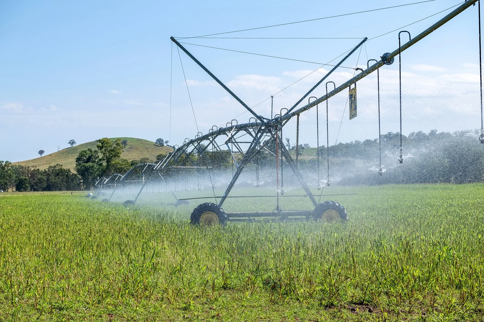 Additional image 5 of 1198 Bukkulla Road, Ashford NSW 2361