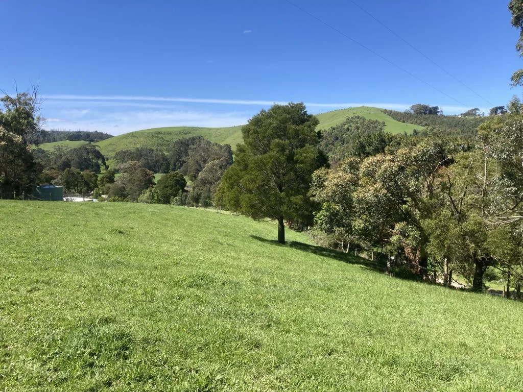 Additional image 9 of 465 Woomera Creek Rd, Toora North VIC 3962