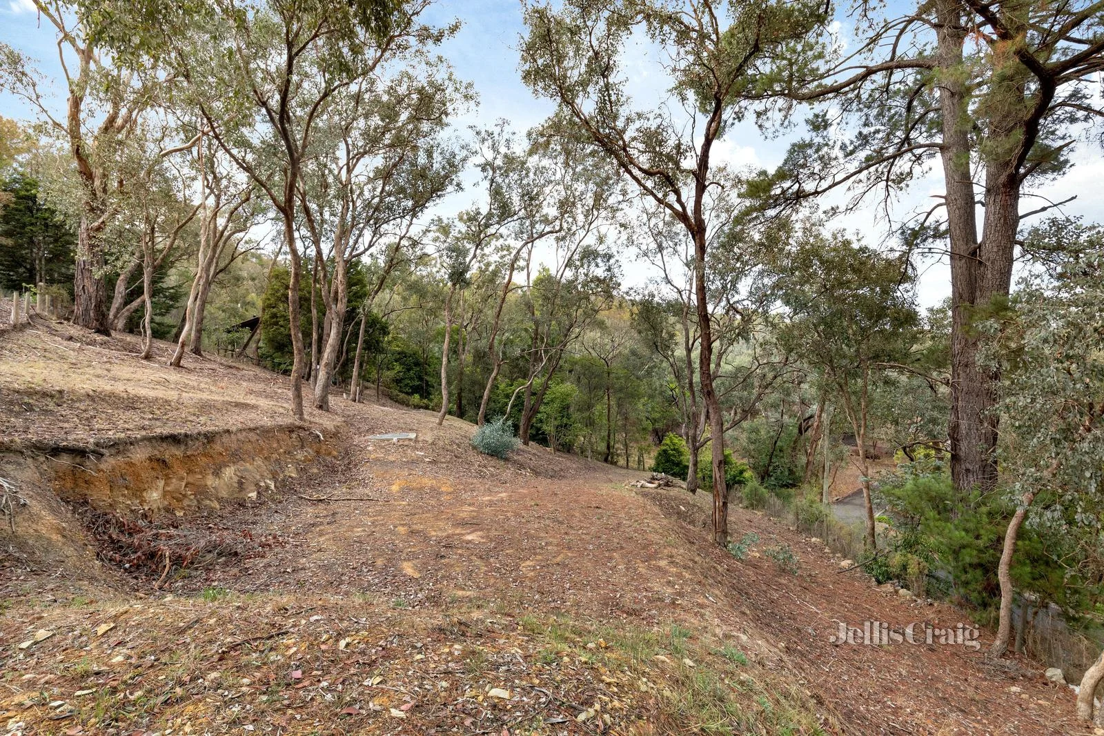 Additional image 3 of 28 Lynnbrae Avenue, Hurstbridge VIC 3099