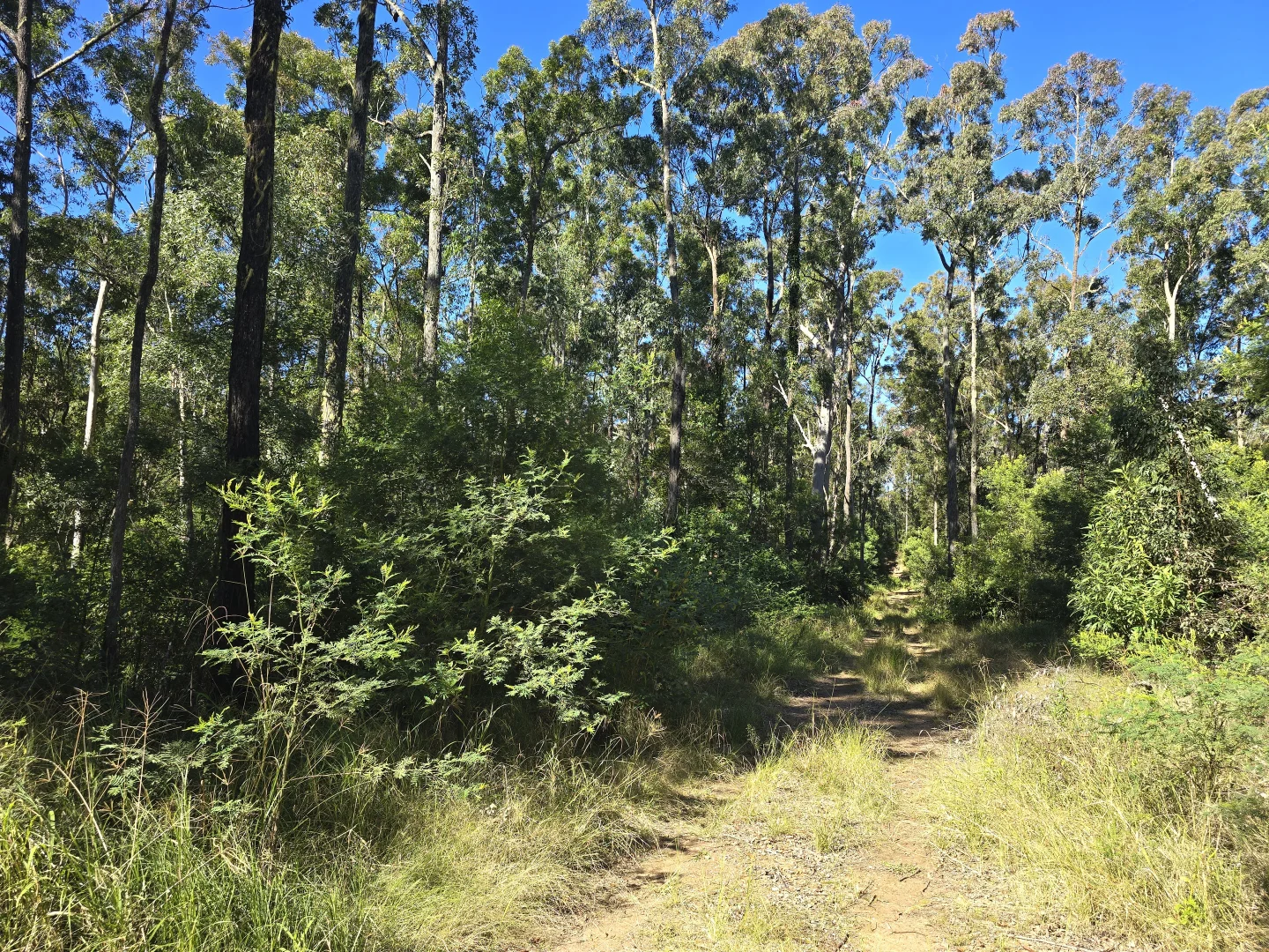 Additional image 12 of 0 SUNDAY CREEK ROAD, Jimna QLD 4515