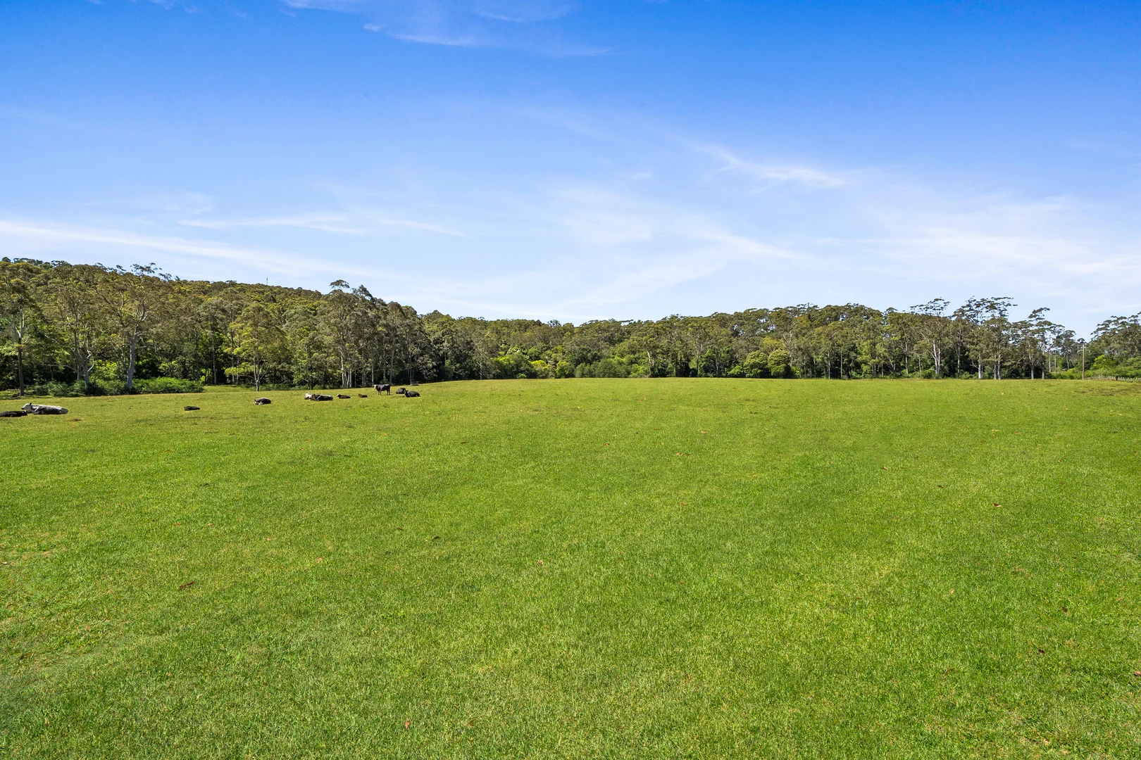 Additional image 5 of 37 Chittaway Road, Kangy Angy NSW 2258