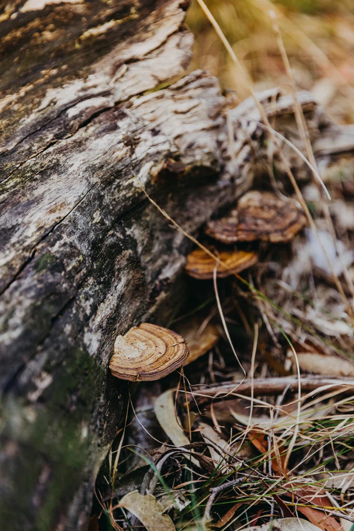 Additional image 23 of 23 Uffington Road, Duns Creek NSW 2321