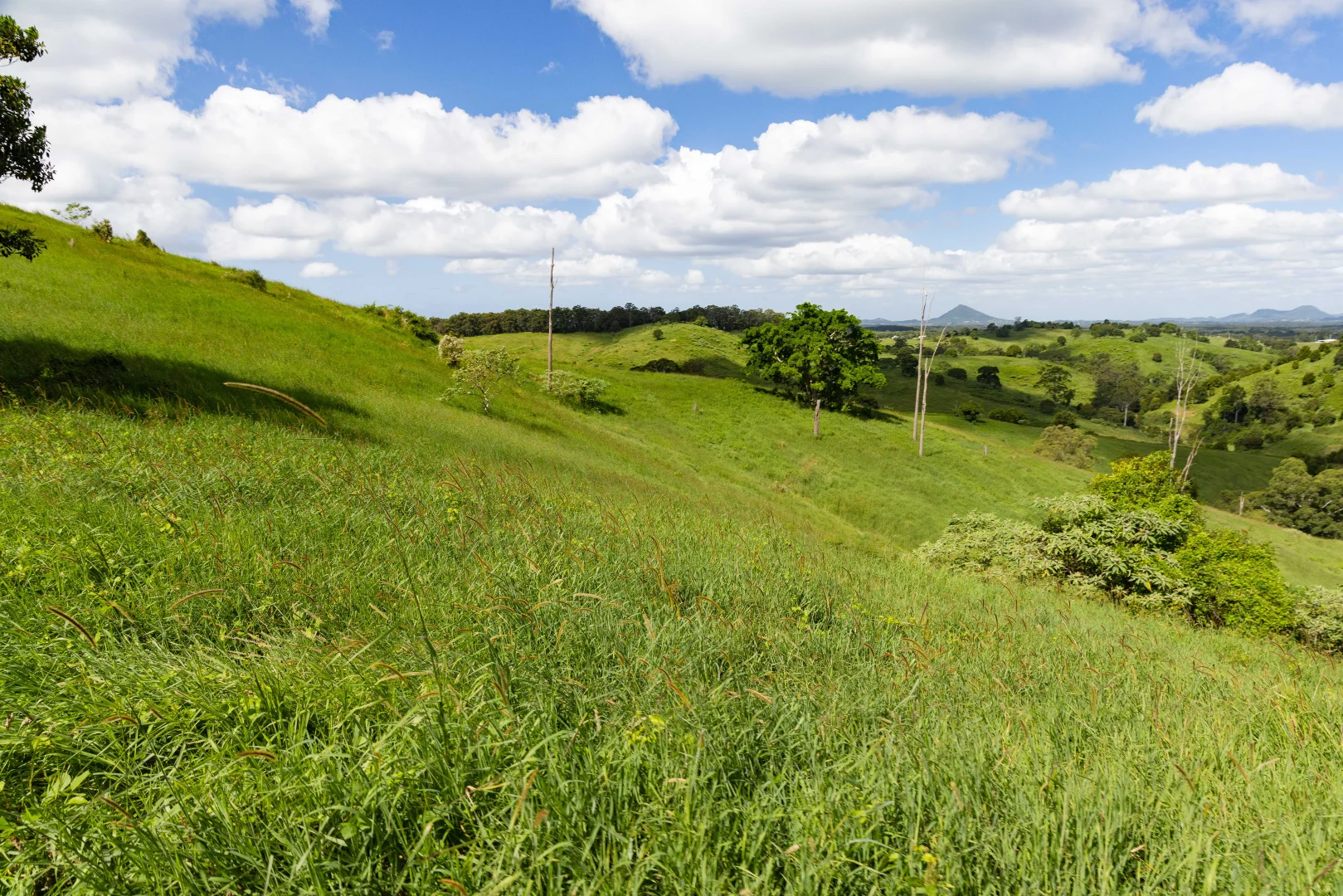Additional image 9 of Cootharaba QLD 4565