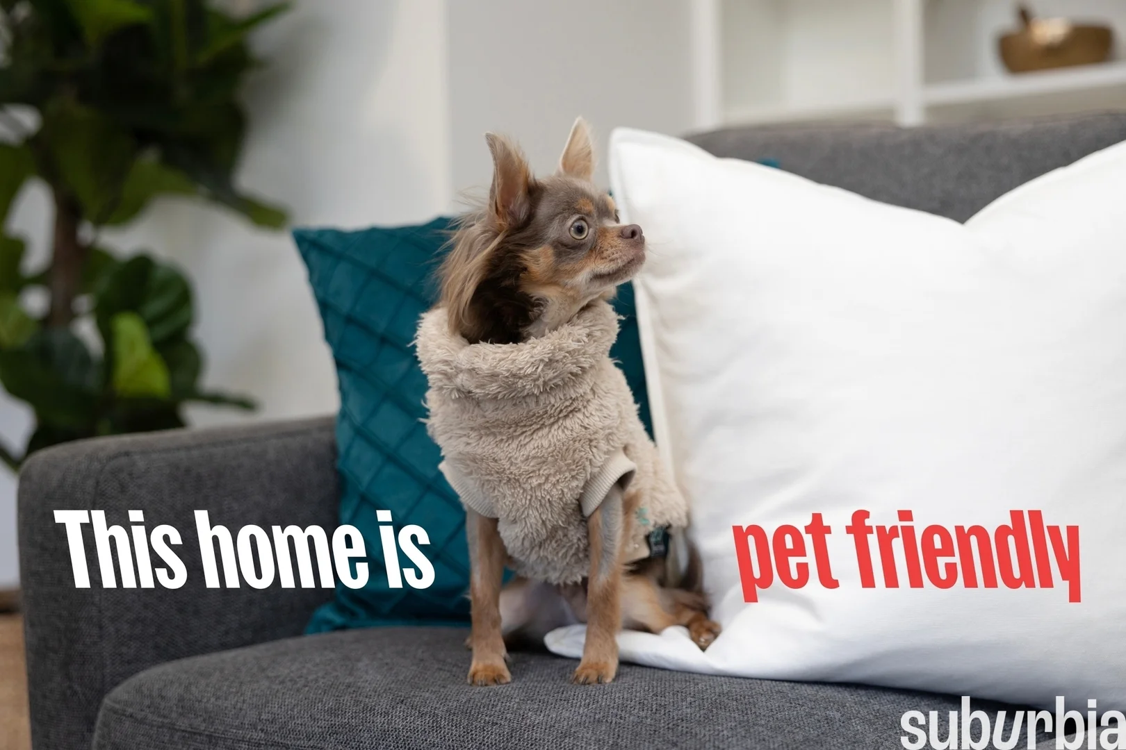 Additional image 24 of 40/39 Eastlake Parade, Kingston ACT 2604