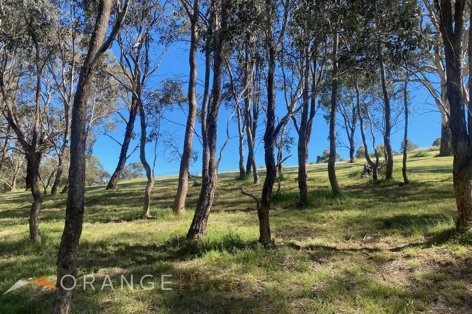 Additional image 8 of 9a Nandillion Ponds, Orange NSW 2800