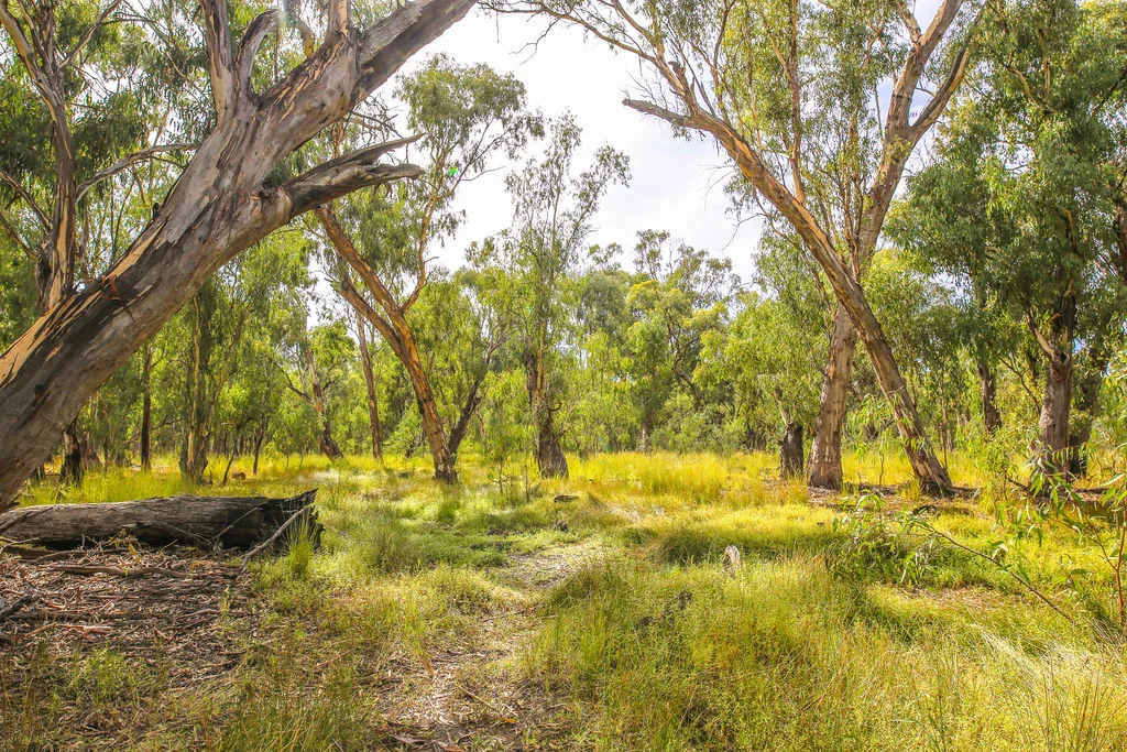 Additional image 13 of Lot 19, 20, 23 & 24 - 650 Yarraman Road, Moama NSW 2731