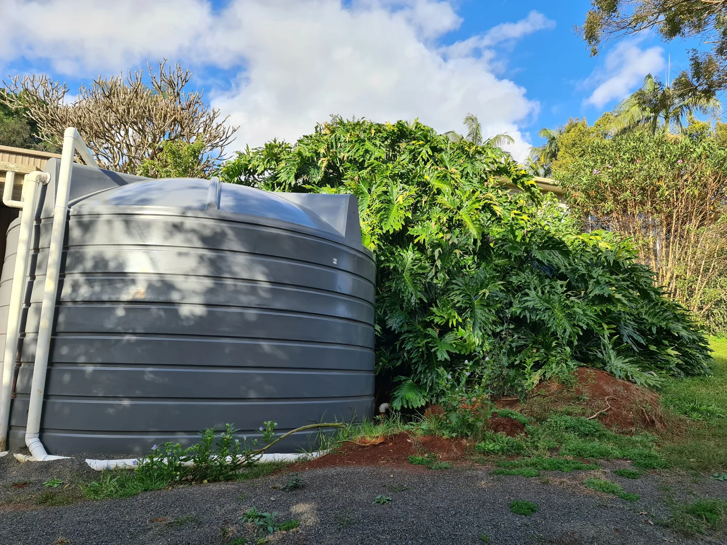 Additional image 28 of 5 Whian Whian Road, Dunoon NSW 2480