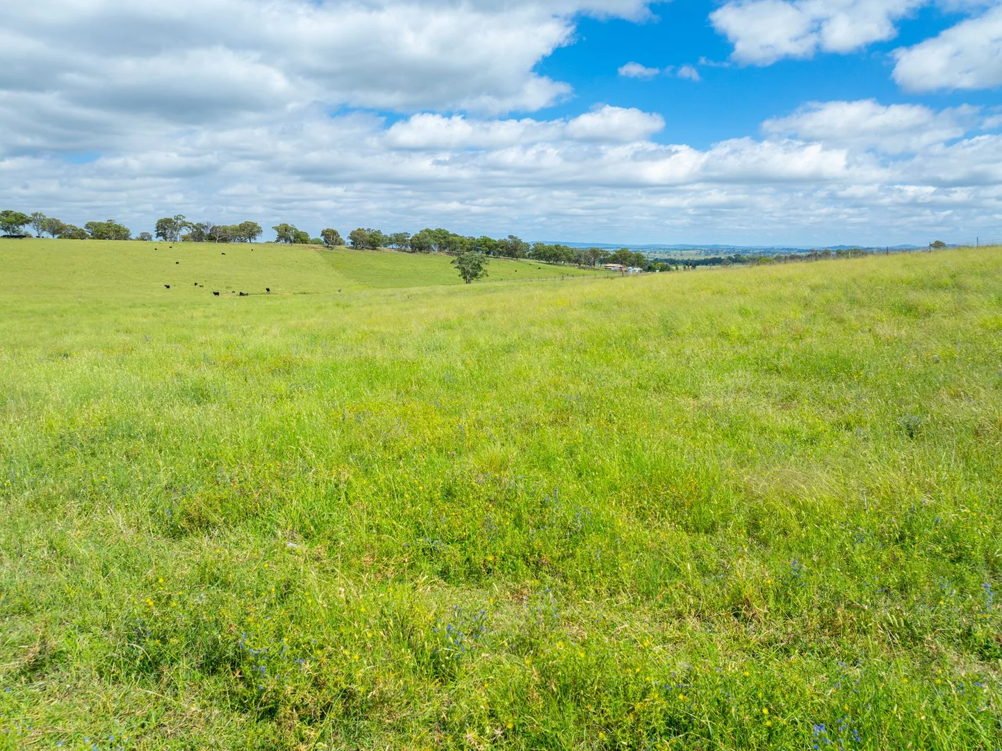 Additional image 5 of 188 Burkes Lane, Brewongle NSW 2795