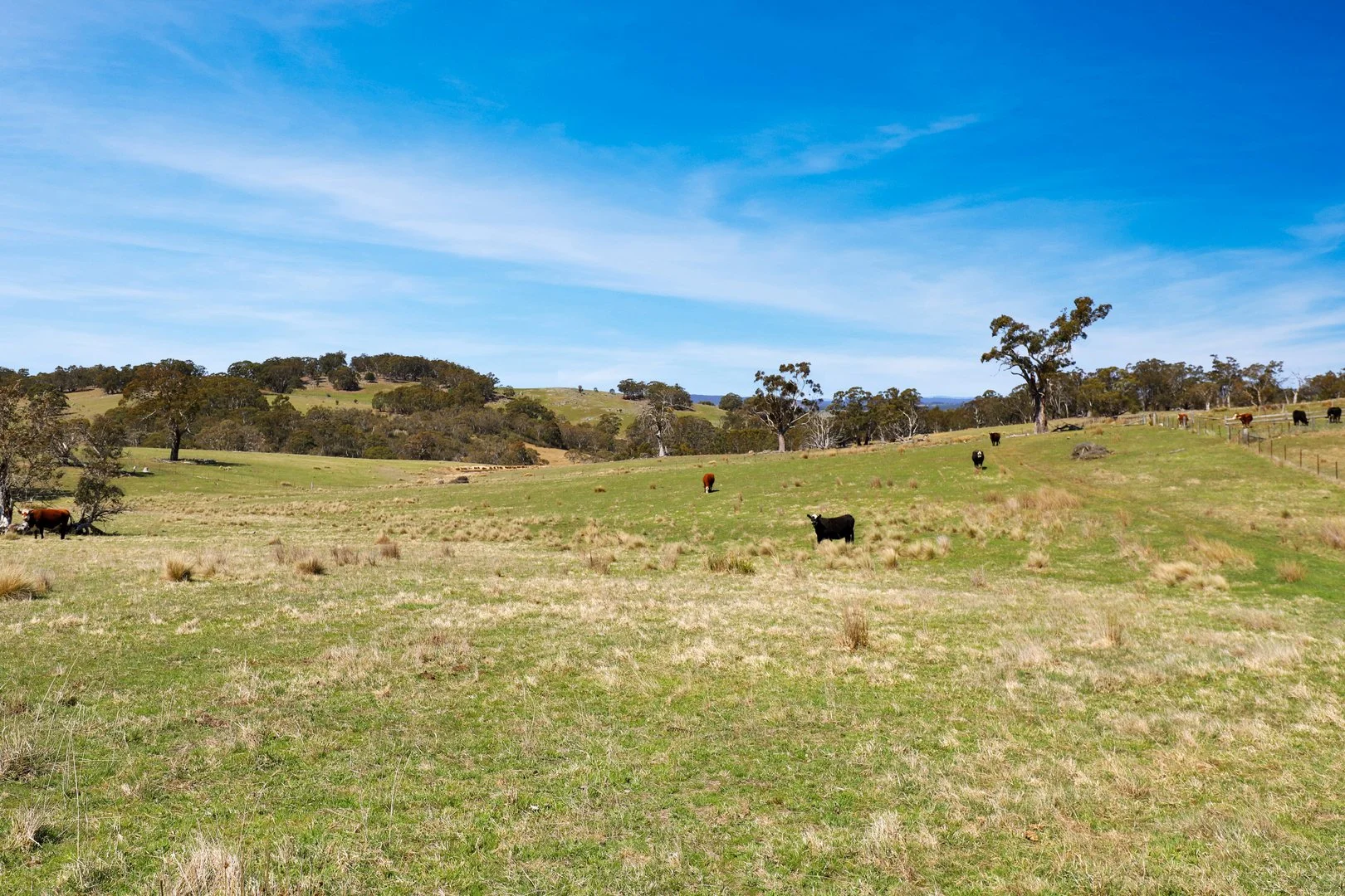 Additional image 25 of "Glenroy" Corrowong Road, Delegate NSW 2633