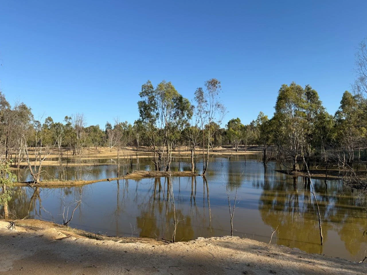 Additional image 5 of Lot 53 Old Deniliquin Road, Moama NSW 2731