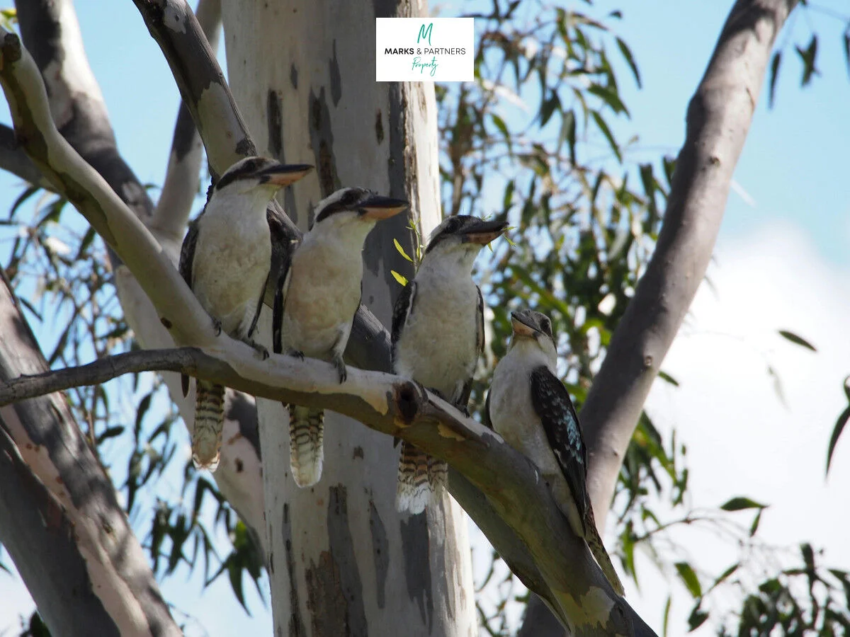 Additional image 10 of The Glades Goodwood Drive (off College Way), Wondunna QLD 4655