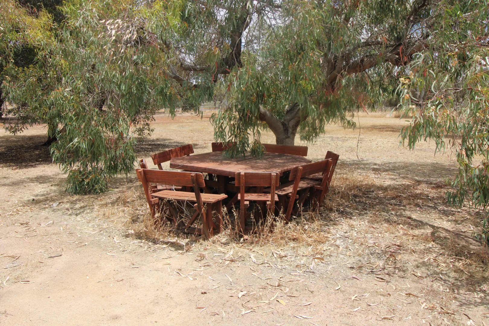 Additional image 24 of 808 Beaufort Street, Wagin WA 6315