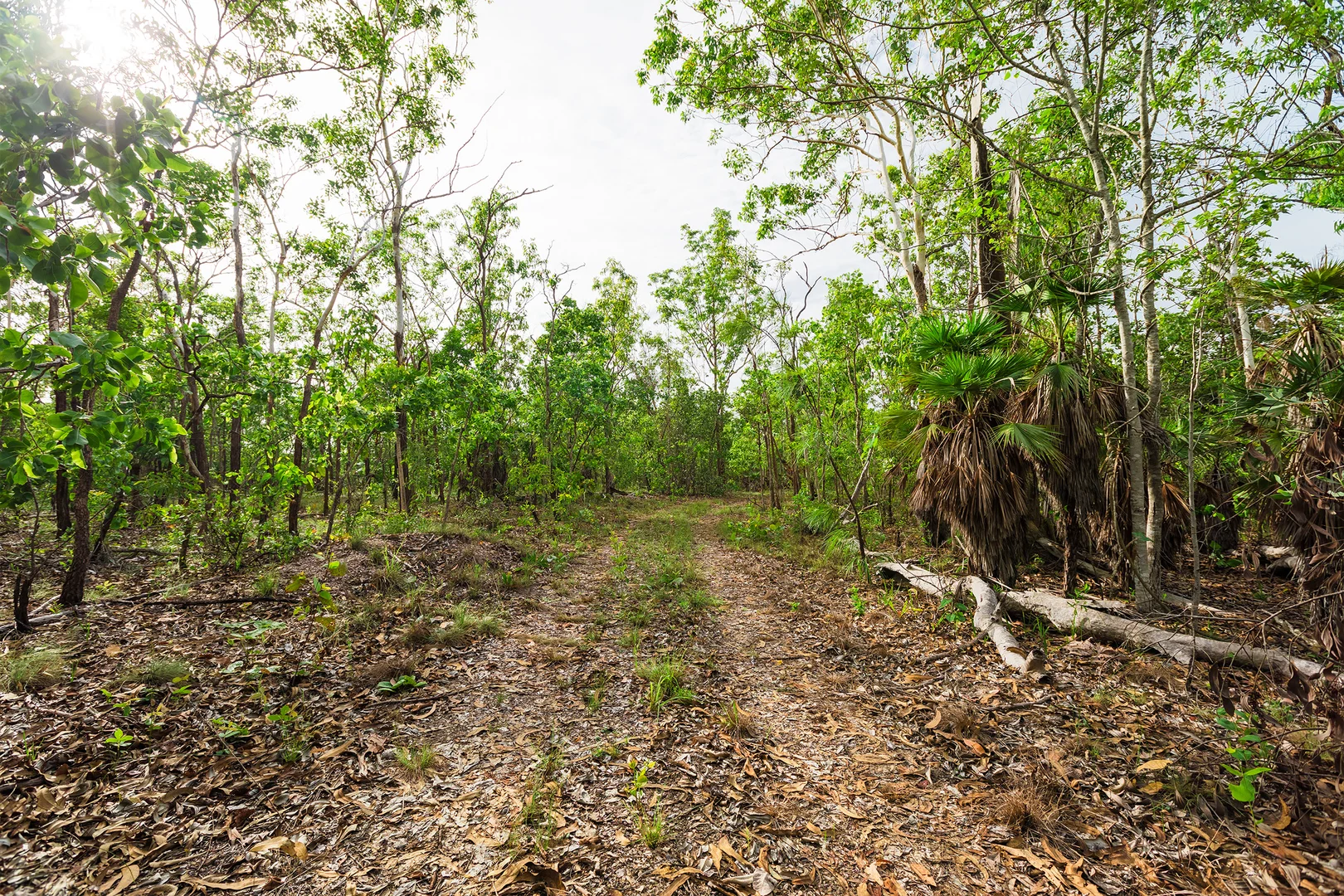 Additional image 9 of 56 Dowling Rd, Virginia NT 0834