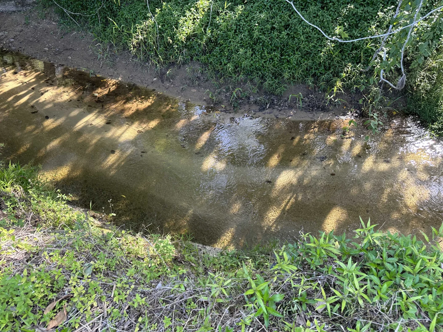 Additional image 14 of Lot 2 Broderick Road, Midgenoo QLD 4854