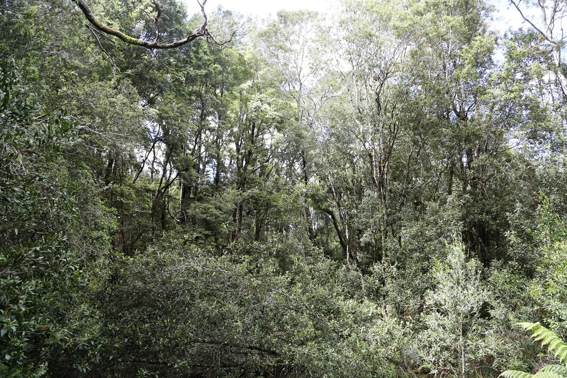 Additional image 8 of 1 Croles Road, Trowutta TAS 7330