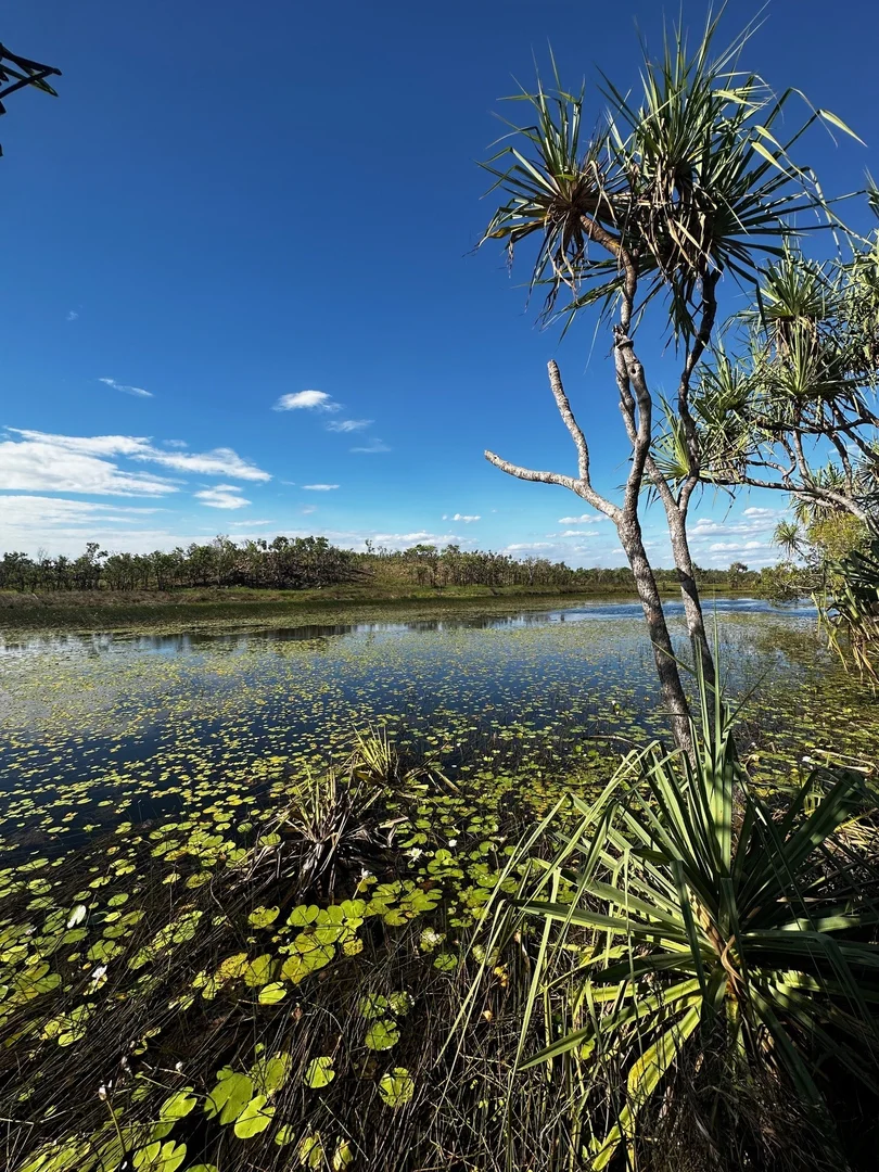 Additional image 9 of Darwin River NT 0841
