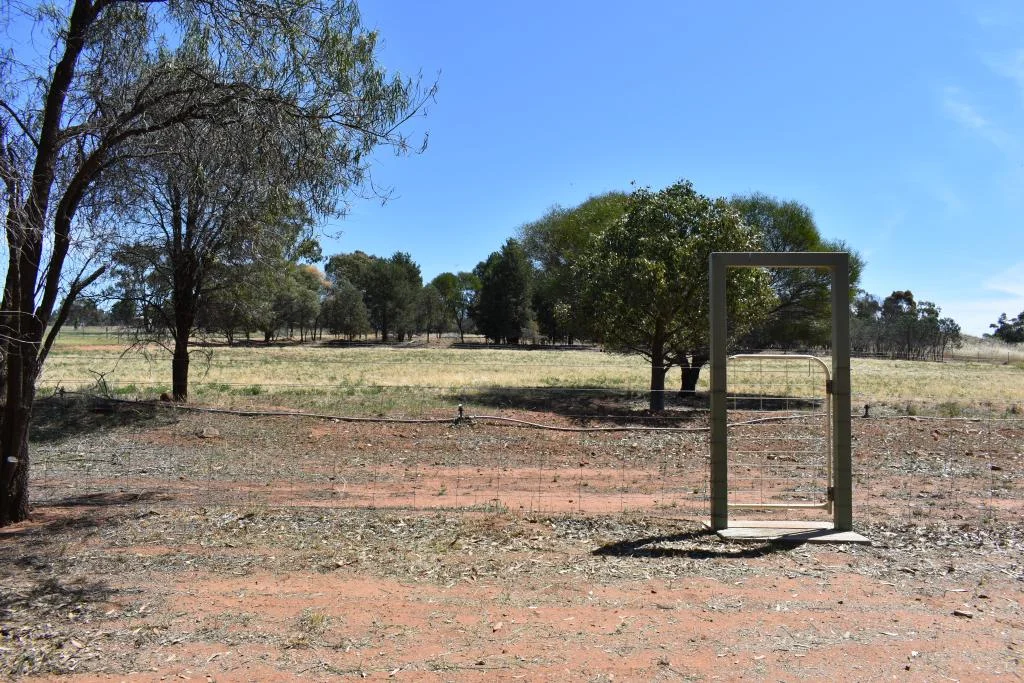 Additional image 3 of 8 Qualitary Road, Leeton NSW 2705