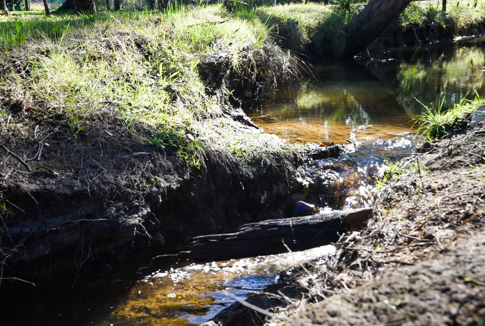 Additional image 23 of 36 Old Pitt Town Road, Pitt Town NSW 2756