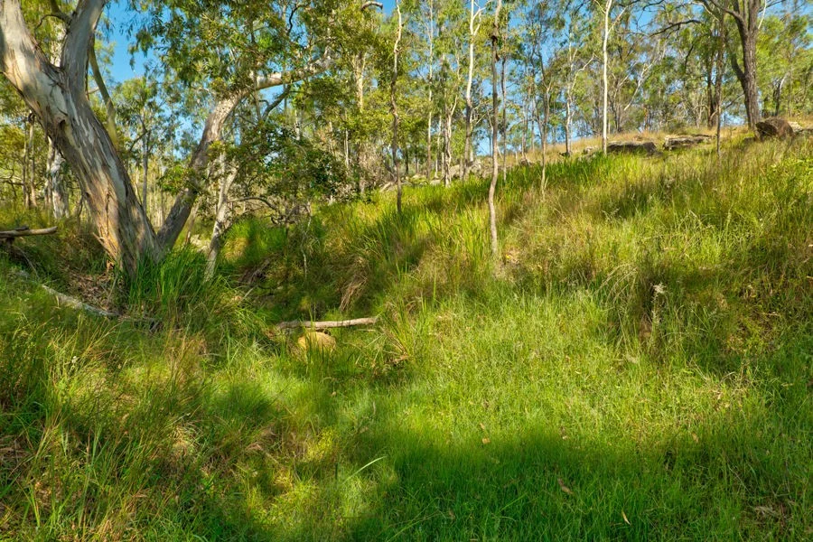 Additional image 24 of Lot 244 Huntley Road, Biarra QLD 4313