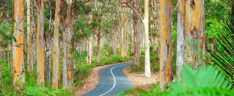 Additional image 16 of Lot 503 Stacey Rise, Lake Clifton WA 6215