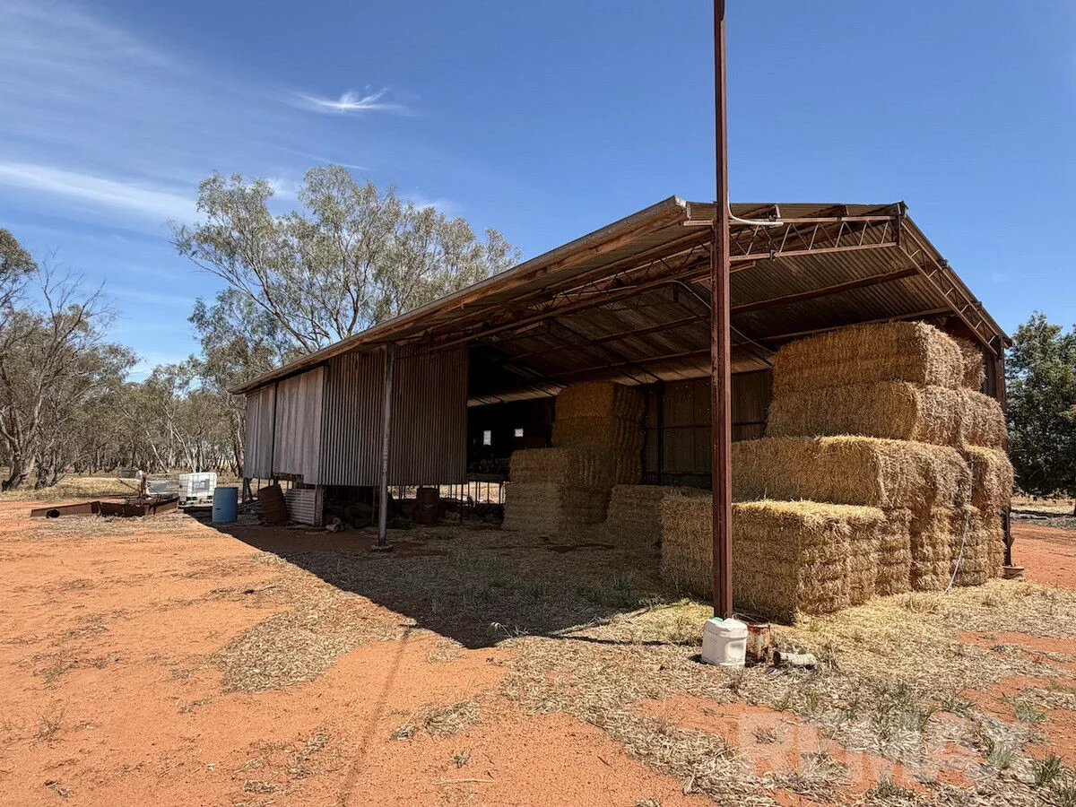 Additional image 2 of 9547 Mahonga Road, Urana NSW 2645