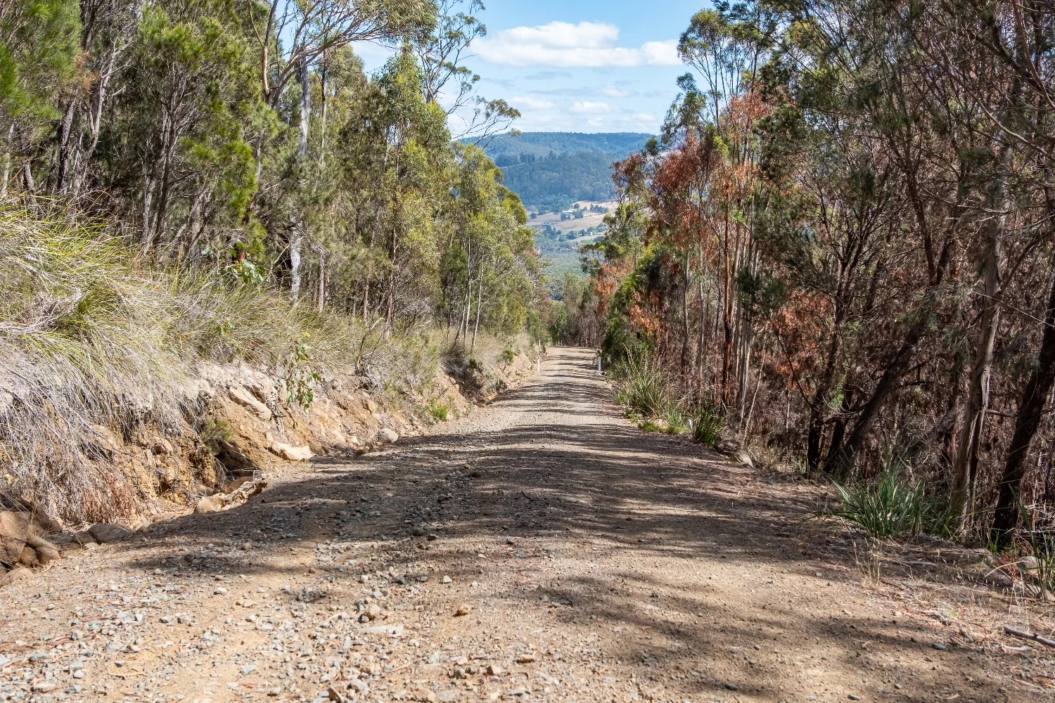 Additional image 13 of 8862 Channel Highway, Huonville TAS 7109