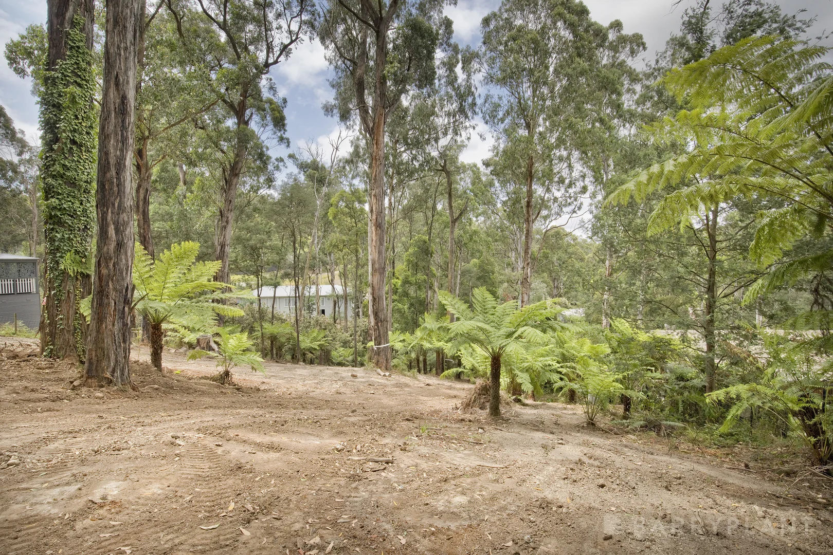 Additional image 5 of 37 Mountain Road, Cockatoo VIC 3781