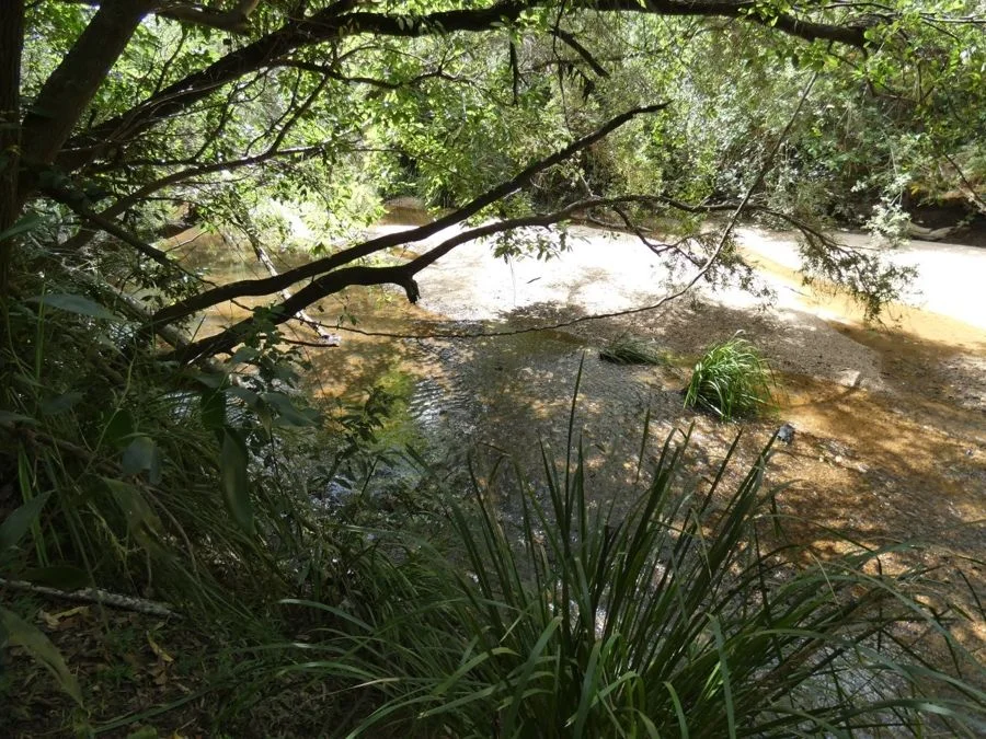 Additional image 20 of 397 Mollenhagens Road, Rosedale QLD 4674