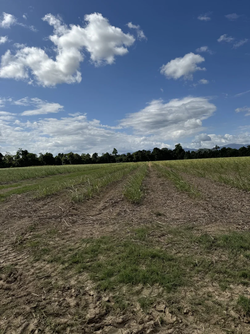 Additional image 3 of LOT 82 Gibbs Rd, Munro Plains QLD 4854