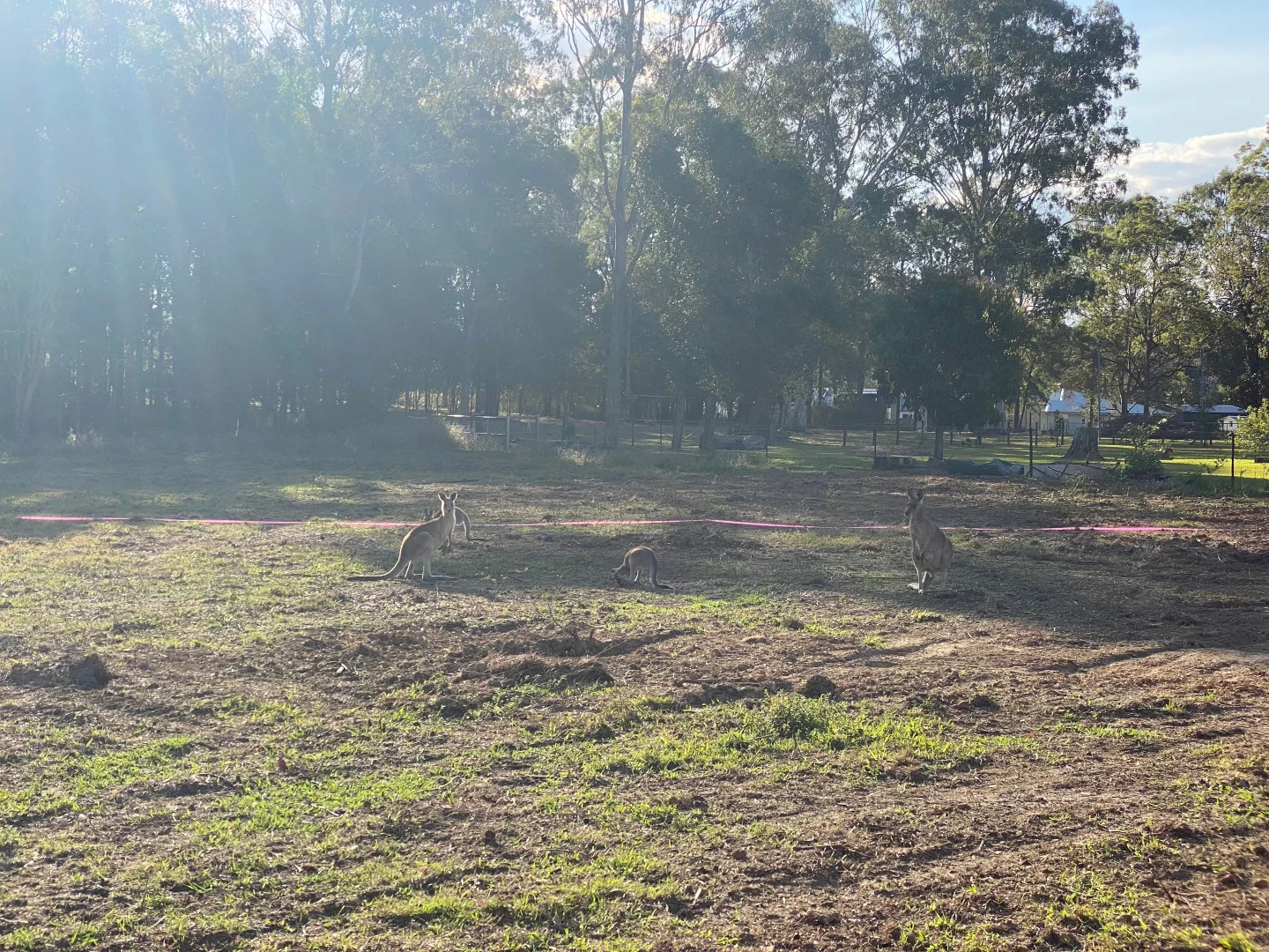 Additional image 7 of Lot 6/45 Richards Court, Bellmere QLD 4510