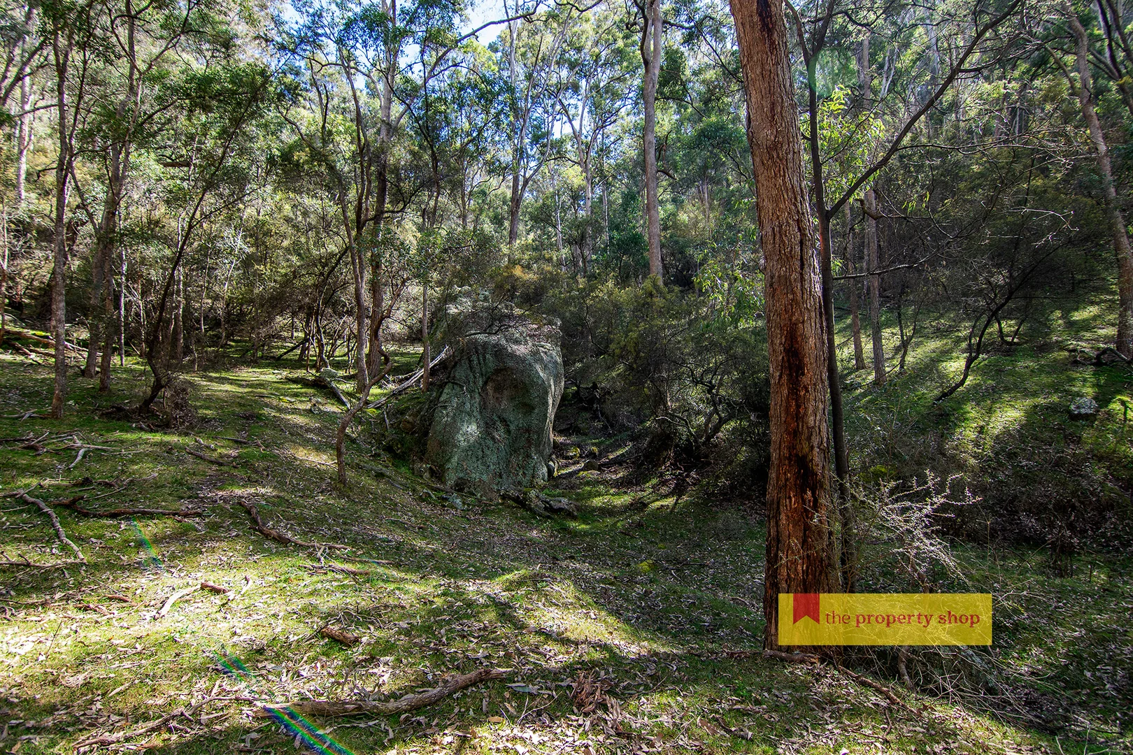 Additional image 7 of 210 Totnes Valley Road, Mudgee NSW 2850