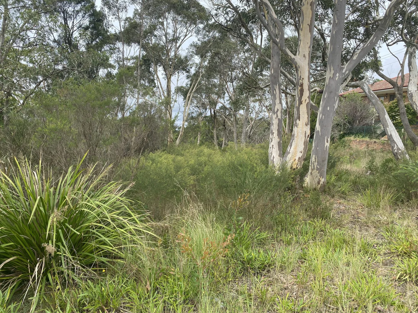 Additional image 3 of 1 Woodlands Road, Katoomba NSW 2780