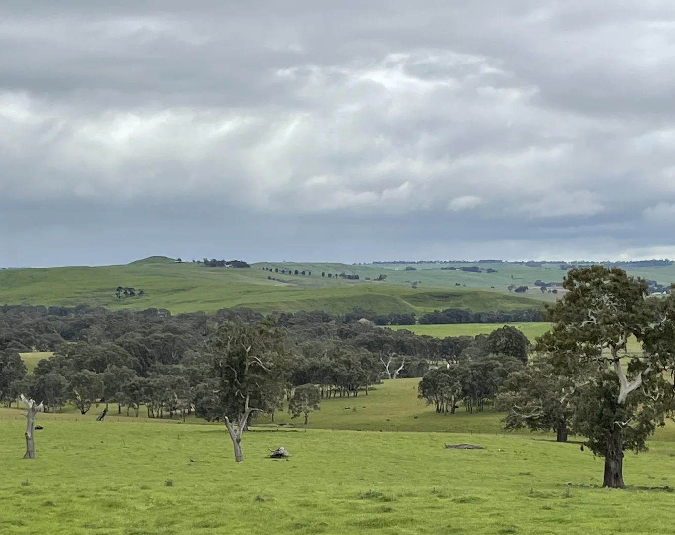 Additional image 6 of Portland-Casterton Road, Henty VIC 3312
