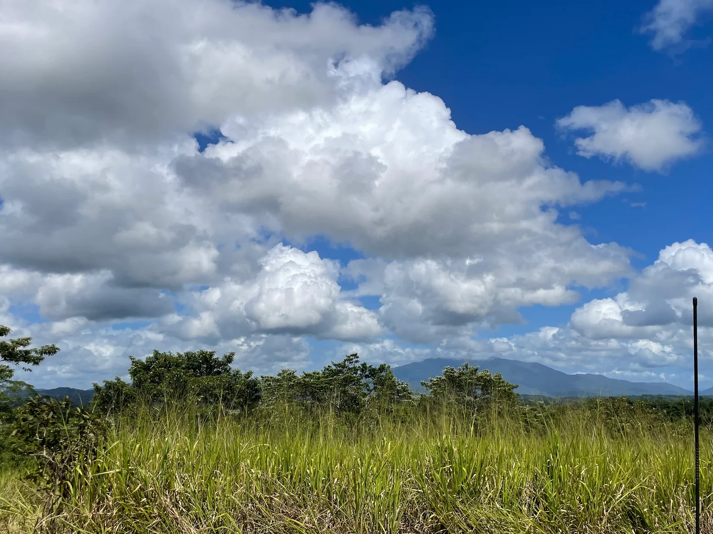 Additional image 4 of 2/129 Old Ferry Road, Goondi QLD 4860