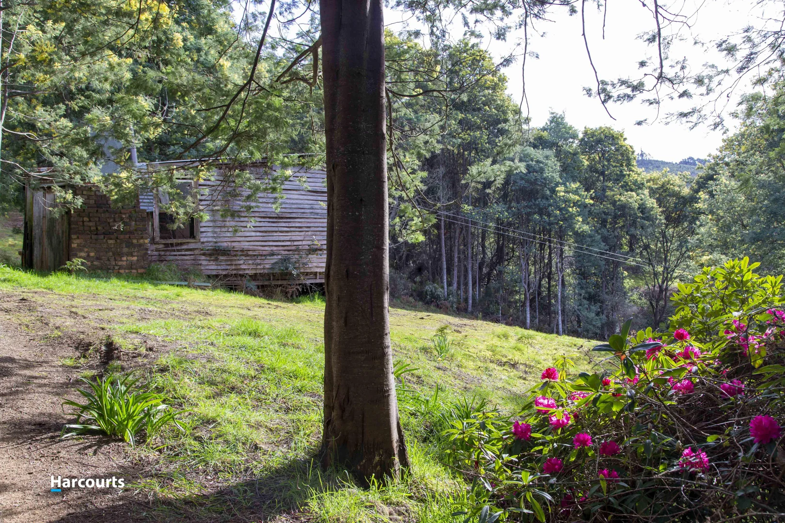 Additional image 6 of Lot 1 Eadies Lane, Franklin TAS 7113