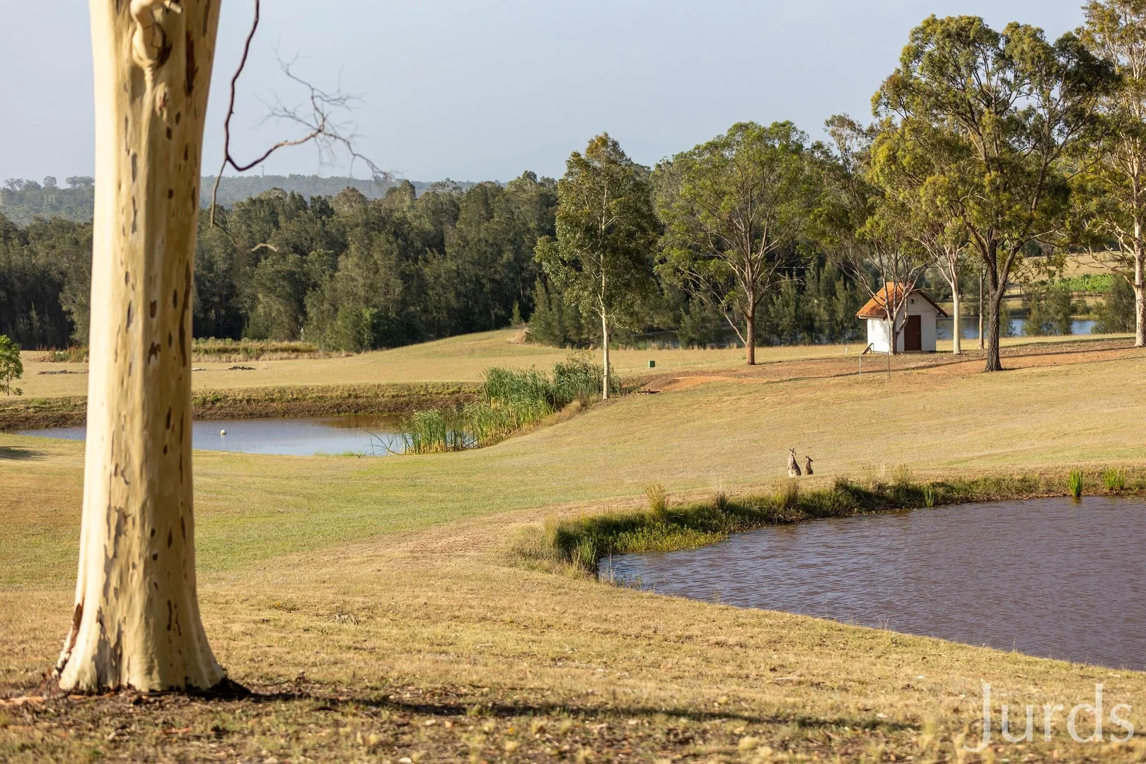 Additional image 16 of 110 Old North Road, Pokolbin NSW 2320