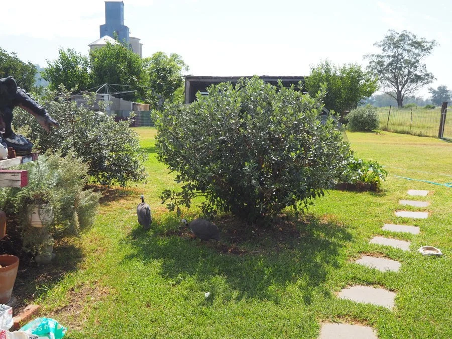 Additional image 21 of 2 Railway Parade, Warialda Rail NSW 2402