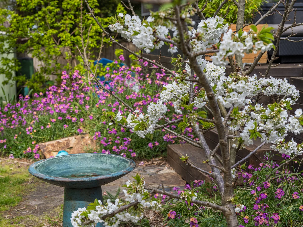 Additional image 30 of 27a Pier Road, Inverloch VIC 3996