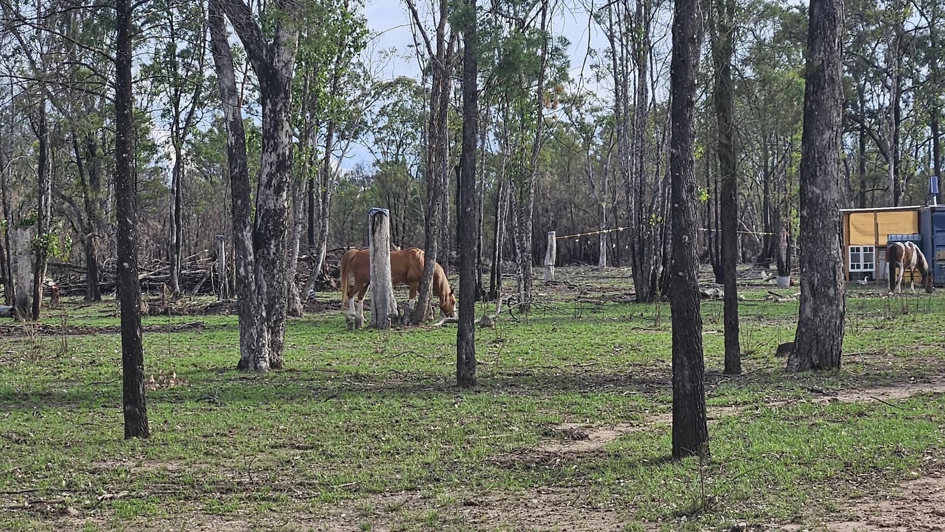 Additional image 2 of 87 Emu Parade, Tara QLD 4421