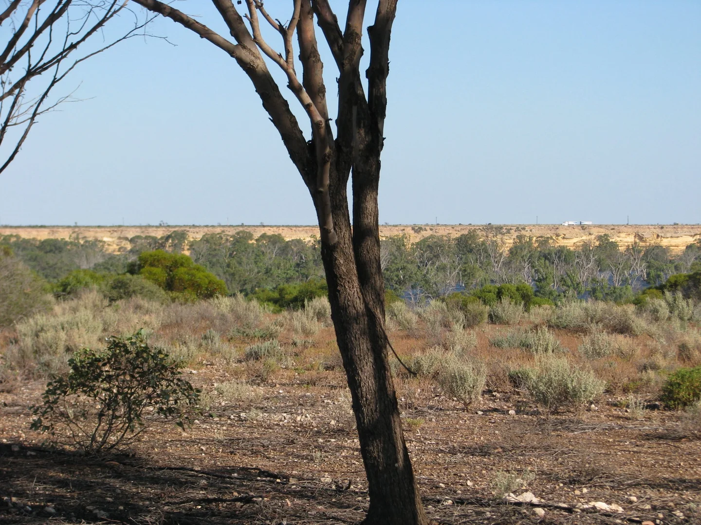 Additional image 5 of lot 1000 Merivale Street, Blanchetown SA 5357