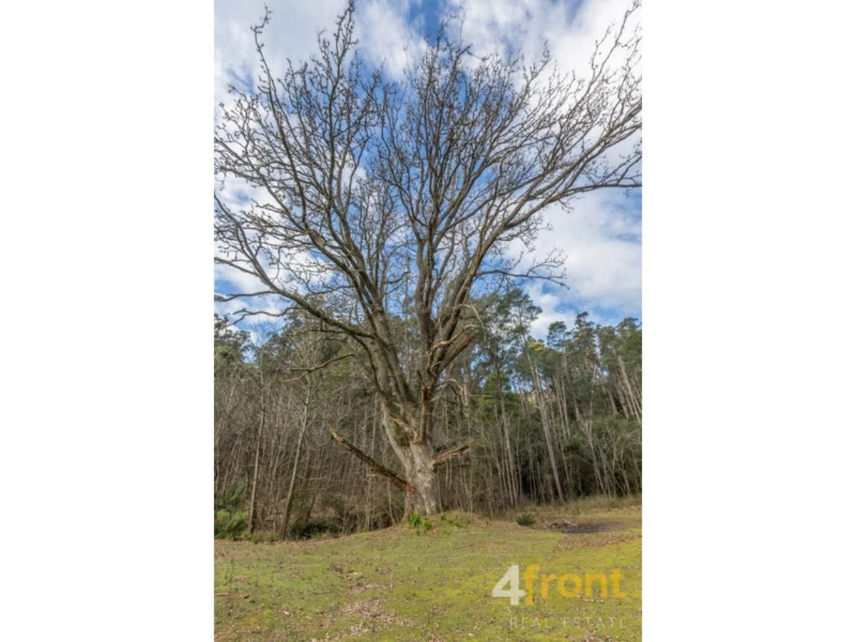 Additional image 19 of 273 Burns Road, Wyena TAS 7254